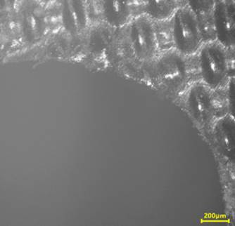 M%4]3B`@V~JJT3AOM%EXO[A