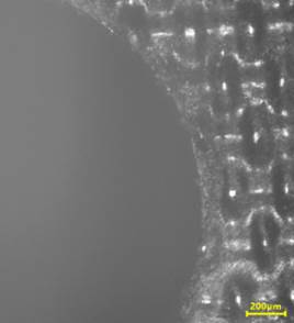 OG[V~]TMB(MZ5PR6M@12O03