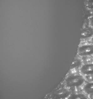 6)K@9RO8G2@~}W)YEXW70ZG