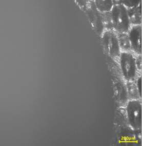 2X9[OU9$AS]{2UP3S9ZW@(V