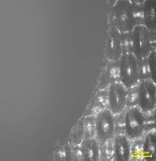 BL8KY`H~_PMPR571E(4@DWL